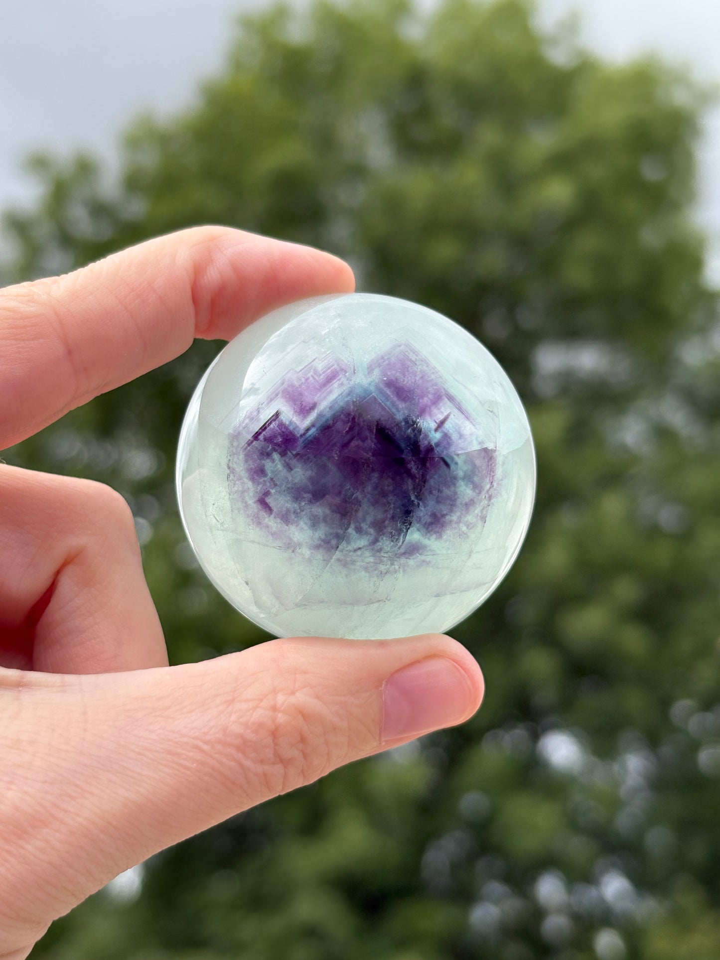 Jelly Fluorit Kugel