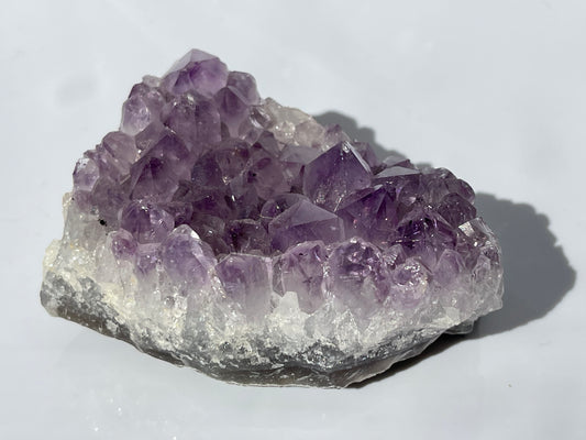 Amethyst Cluster