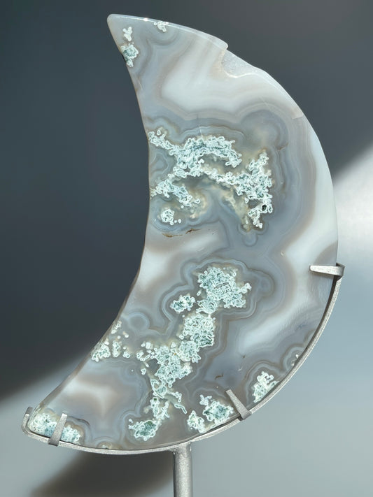 Moosachat Mond mit Halterung