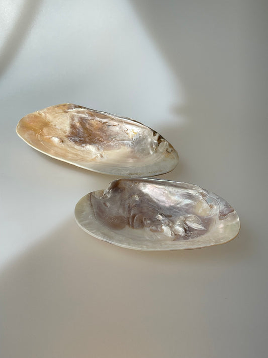 Muschel mit Perle
