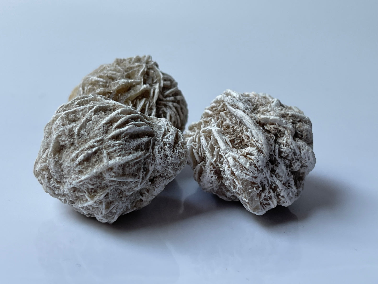 Sandrose Medium