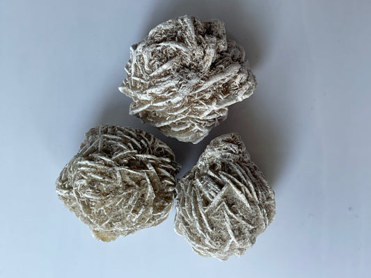 Sandrose Medium